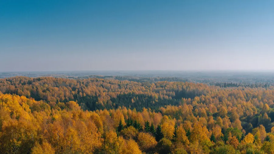 Rahvuspargid, pankrannikud, kõrgeim juga ja vanad mõisad — koondasime Eesti parimad vaatamisväärsused maakonniti, et su järgmine reis oleks lihtsam planeerida.