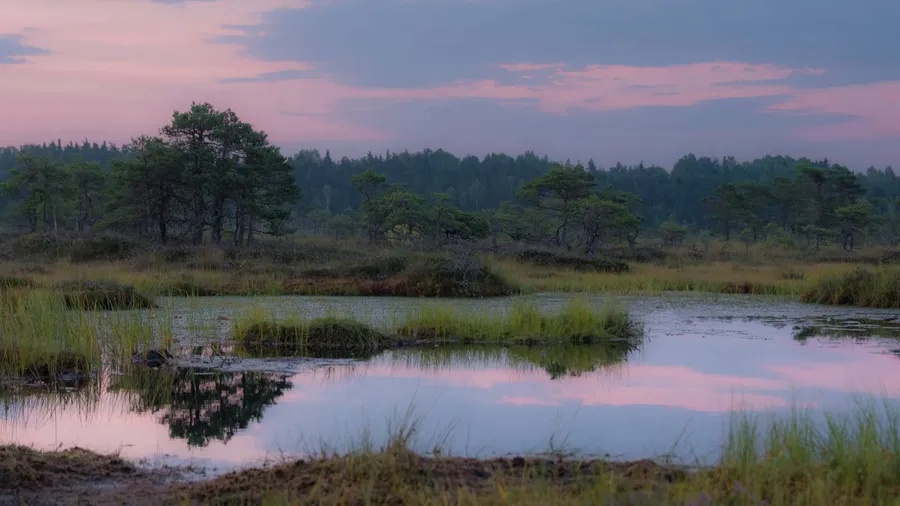 Eestis leidub hulgaliselt paiku, kus saab igapäevaelust ja digimaailmast täielikult eemalduda. Puhkemajad, mõisad ja talud loovad ideaalse keskkonna sisemise rahu leidmiseks.
